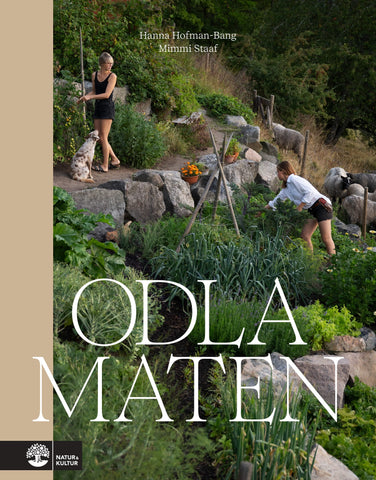 Odla maten