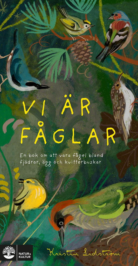 Vi är fåglar : En bok om att vara fågel bland fjädrar, ägg och kvitterbuska