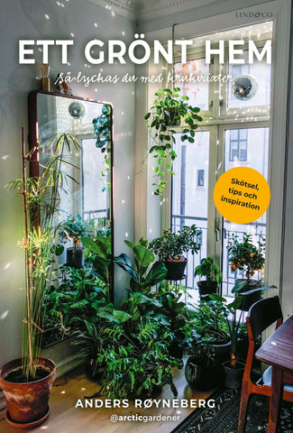 Ett grönt hem : så lyckas du med krukväxter